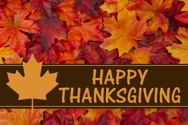 Happy Thanksgiving Greeting — Stock Photo, Image