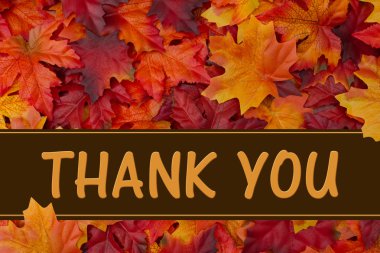 Teşekkürler mesaj.