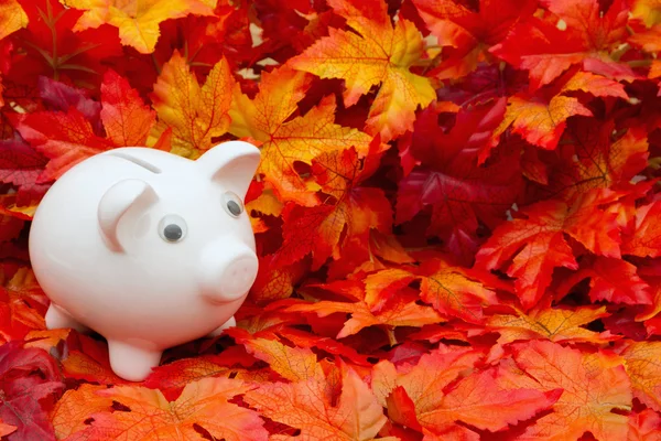 Dags för hösten besparingar — Stockfoto
