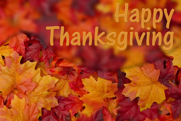 Happy Thanksgiving groet — Stockfoto