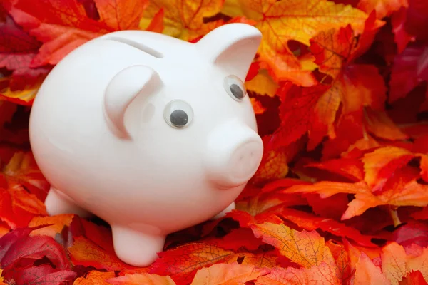 Zeit zum Sparen im Herbst — Stockfoto