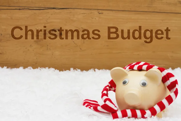 Having a Christmas Budget,  Piggy bank with scarf on snow — Stock Photo, Image