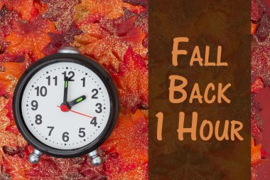 It is time to fall back message clipart