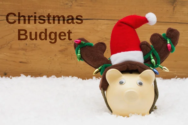 Hebben van een begroting Christmas, Piggy bank met KERSTMUTS op sno — Stockfoto