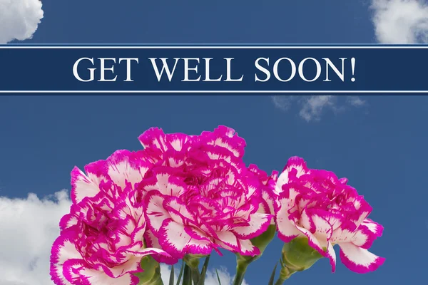 Uzdrav se brzy zpráva s růžovou a bílou Pivoňka kytice — Stock fotografie
