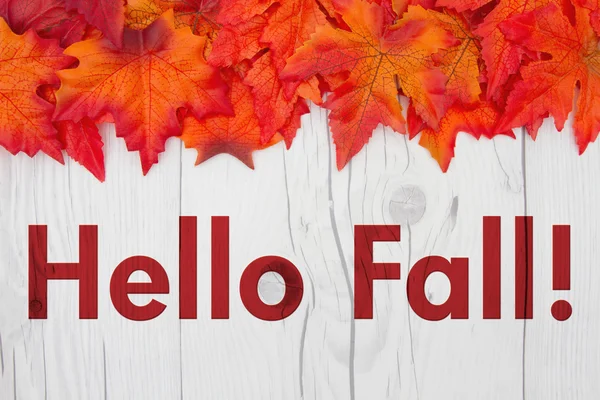 Olá Fall Greeting — Fotografia de Stock