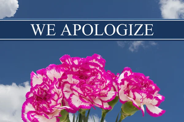 Jsme Apologize zpráva s růžová a bílá Pivoňka kytice — Stock fotografie