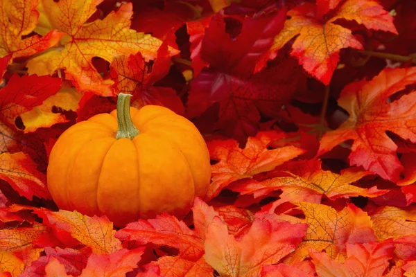 É hora do outono — Fotografia de Stock