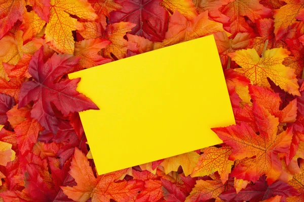 Stagione autunnale Saluto — Foto Stock