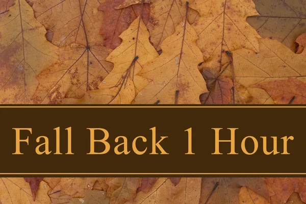 Fall Back 1 Hour message — Stock Photo, Image