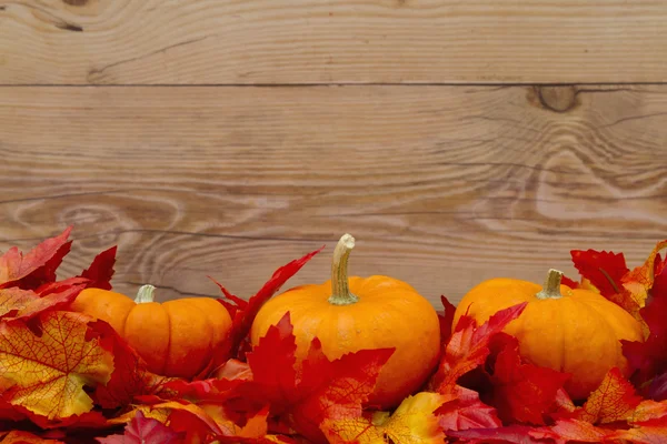 Autunno Tempo di sfondo — Foto Stock