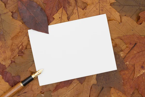 Autumn Time Greeting Card — Stock Photo, Image