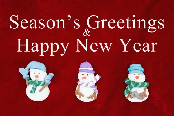 Season's Greetings and Happy New Year greeting — Stock Photo, Image