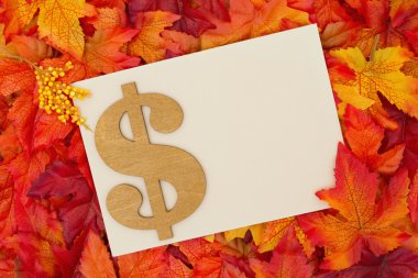 Sonbahar sezonu tasarruf