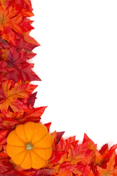 Autumn Leaves Background with a pumpkin over white — Stock Photo, Image