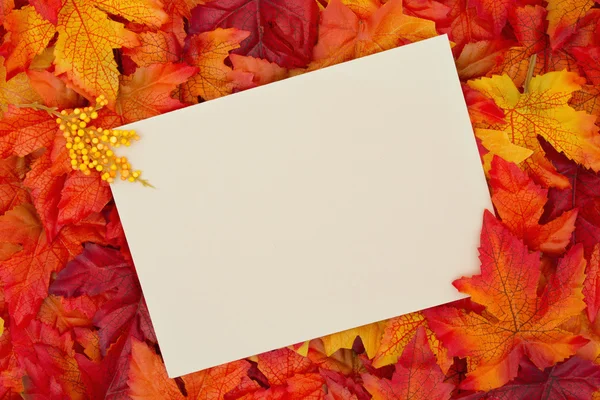 Fall Season Greeting Stock Image