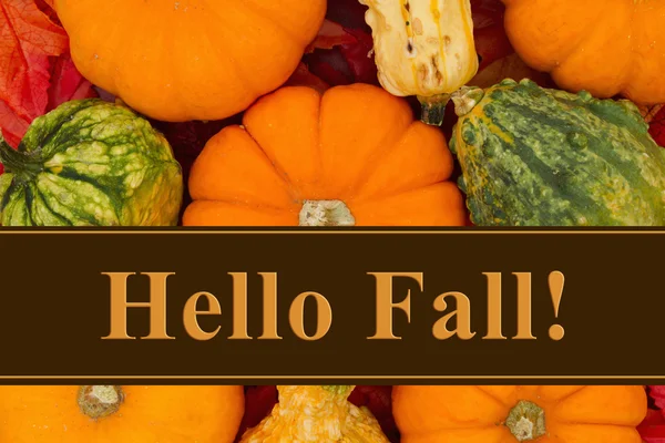 Hello Fall Mensagem — Fotografia de Stock