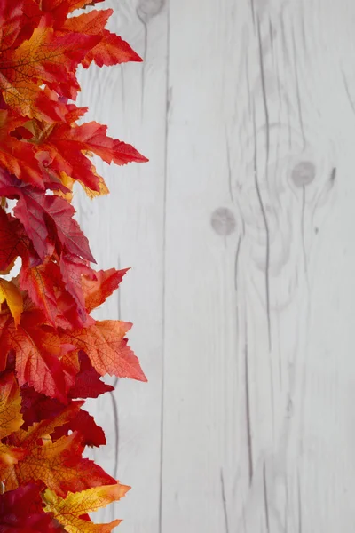 Autumn Time Background — Stock Photo, Image