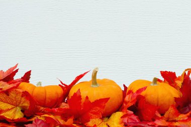 Sonbahar zaman arka plan