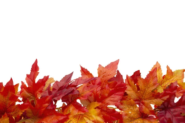 Autumn Time Background — Stock Photo, Image
