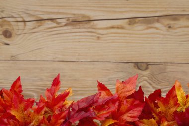 Sonbahar zaman arka plan