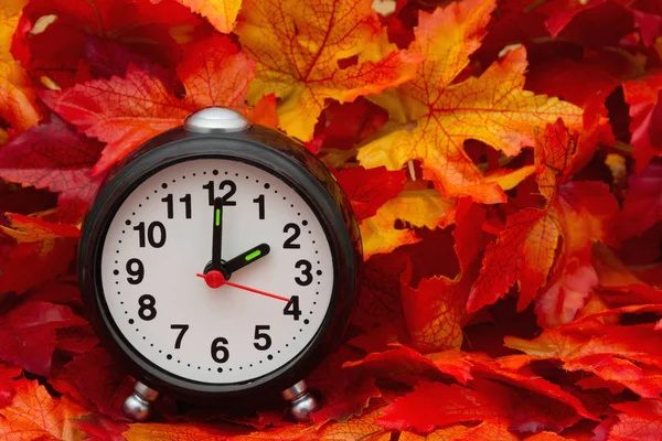 Es hora del otoño. — Foto de Stock