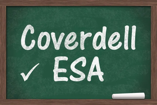 Your Coverdell education savings account — Stock Photo, Image