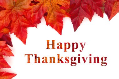 Şükran günün kutlu olsun tebrik