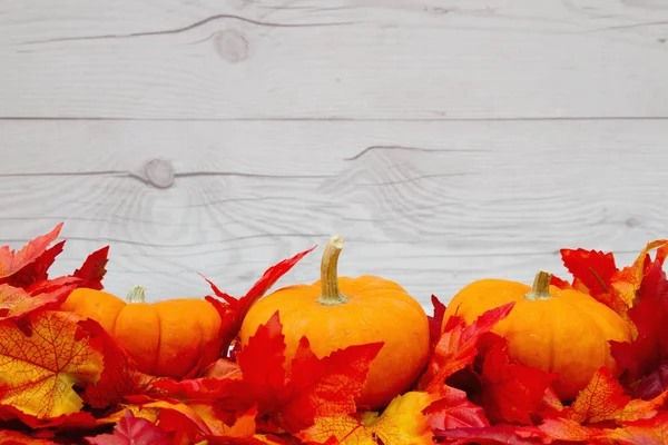 Fondo de tiempo de otoño — Foto de Stock