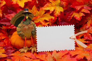 Şükran günü mesajı bir Türkiye ile