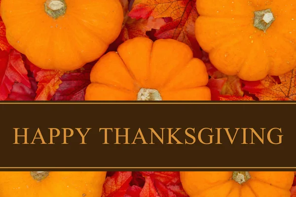 Happy Thanksgiving groet — Stockfoto