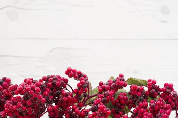 Old fashion Christmas berry background