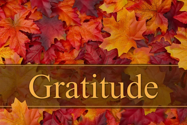 Being grateful message — Stock Photo, Image