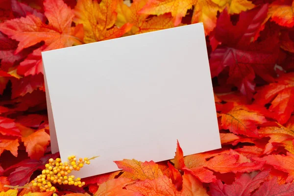 Fall Season Saudação — Fotografia de Stock