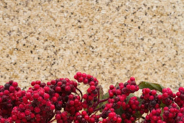 Staremu tło Boże Narodzenie berry — Zdjęcie stockowe