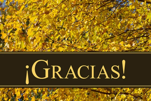 Spanish Thank You Greeting — Stock Photo, Image