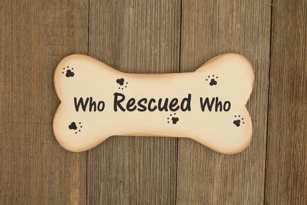 Rescuing a dog — Stock Photo, Image