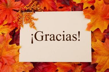 İspanyolca teşekkür tebrik kartı
