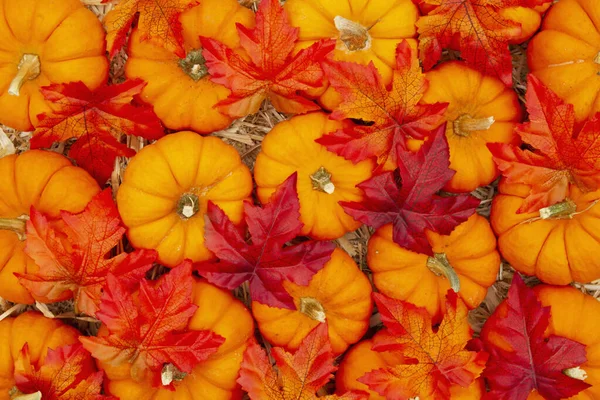 Oranje pompoenen met herfstbladeren op strohooi achtergrond — Stockfoto