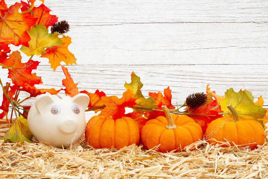 Fall savings with piggy bank and pumpkins and fall leaves on str