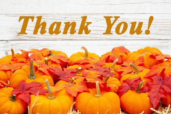Dankesbotschaft mit orangefarbenen Kürbissen mit Herbstblättern — Stockfoto