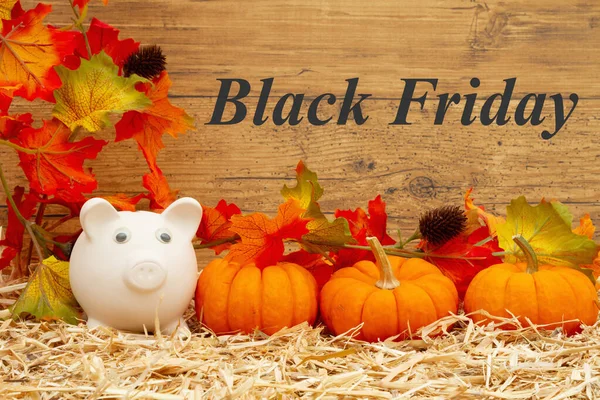 Zwarte vrijdag bericht met spaarvarken bank en pompoenen en herfst verlof — Stockfoto