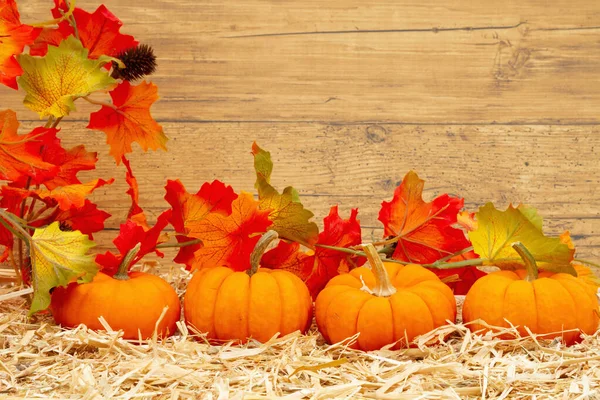 Herbstszene mit orangefarbenen Kürbissen und Herbstblättern auf Stroh-Heu-Witz — Stockfoto