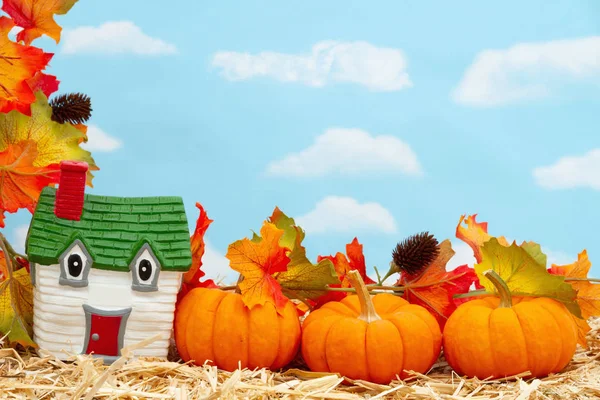 Přátelský dům a dýně a podzimní listí na slámě seno s sk — Stock fotografie