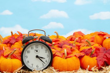 Turuncu balkabaklı, samanların üzerine düşen bir çalar saat.