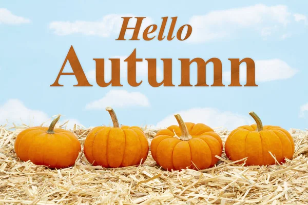 Hello Autumn message with orange pumpkins on straw hay — 스톡 사진