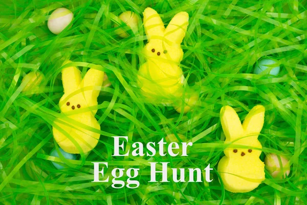 イースターの卵狩り休日のための隠された卵とバニーとイースターの緑の草 — ストック写真