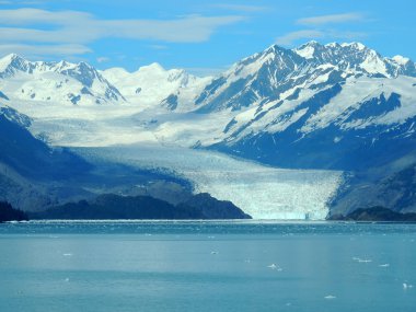 College Fiyordu, Alaska Sahnesi.