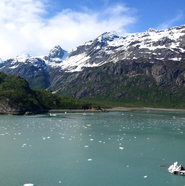 Szene aus der Gletscherbucht, Alaska — Stockfoto