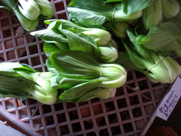 Green vegetables in the Farmer's Market in Hilo, Hawaii. — Stock Photo, Image